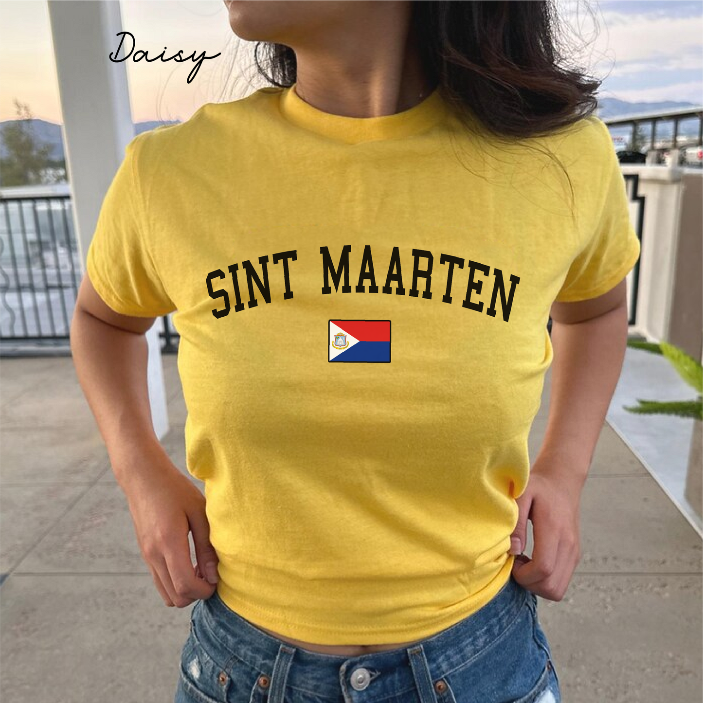 Sint Maarten Y2K Women's Baby Tee