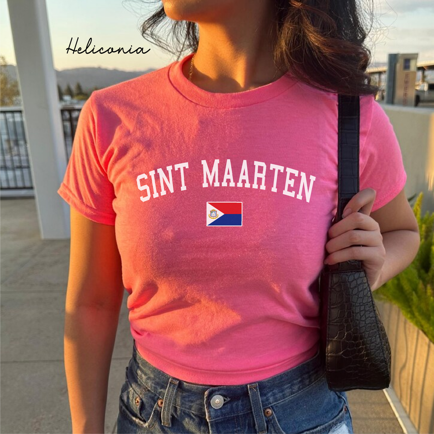 Sint Maarten Y2K Women's Baby Tee