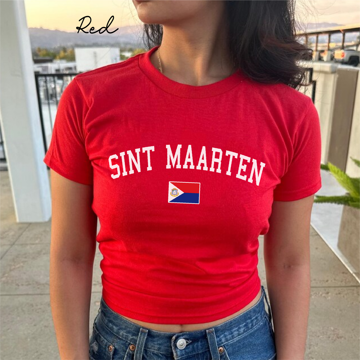 Sint Maarten Y2K Women's Baby Tee
