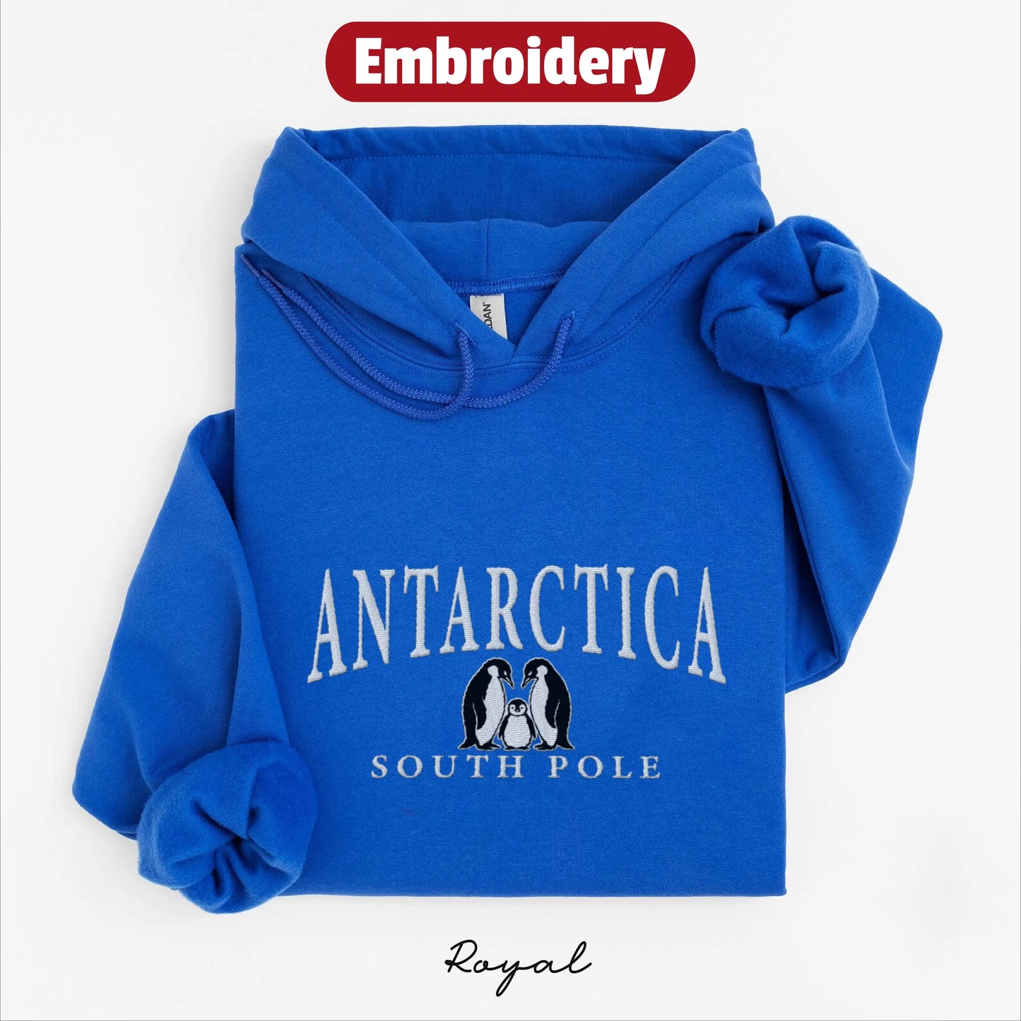 Antarctica embroidered hoodie