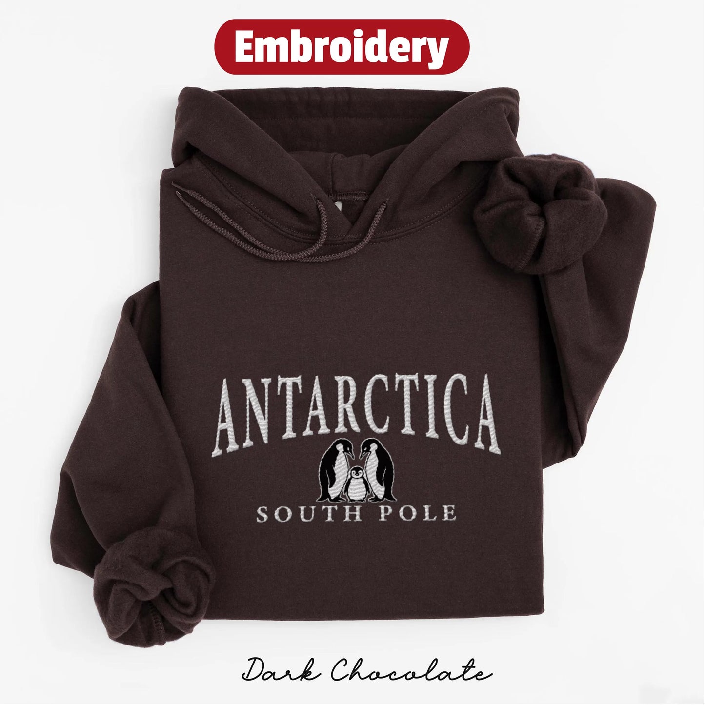 Antarctica embroidered hoodie