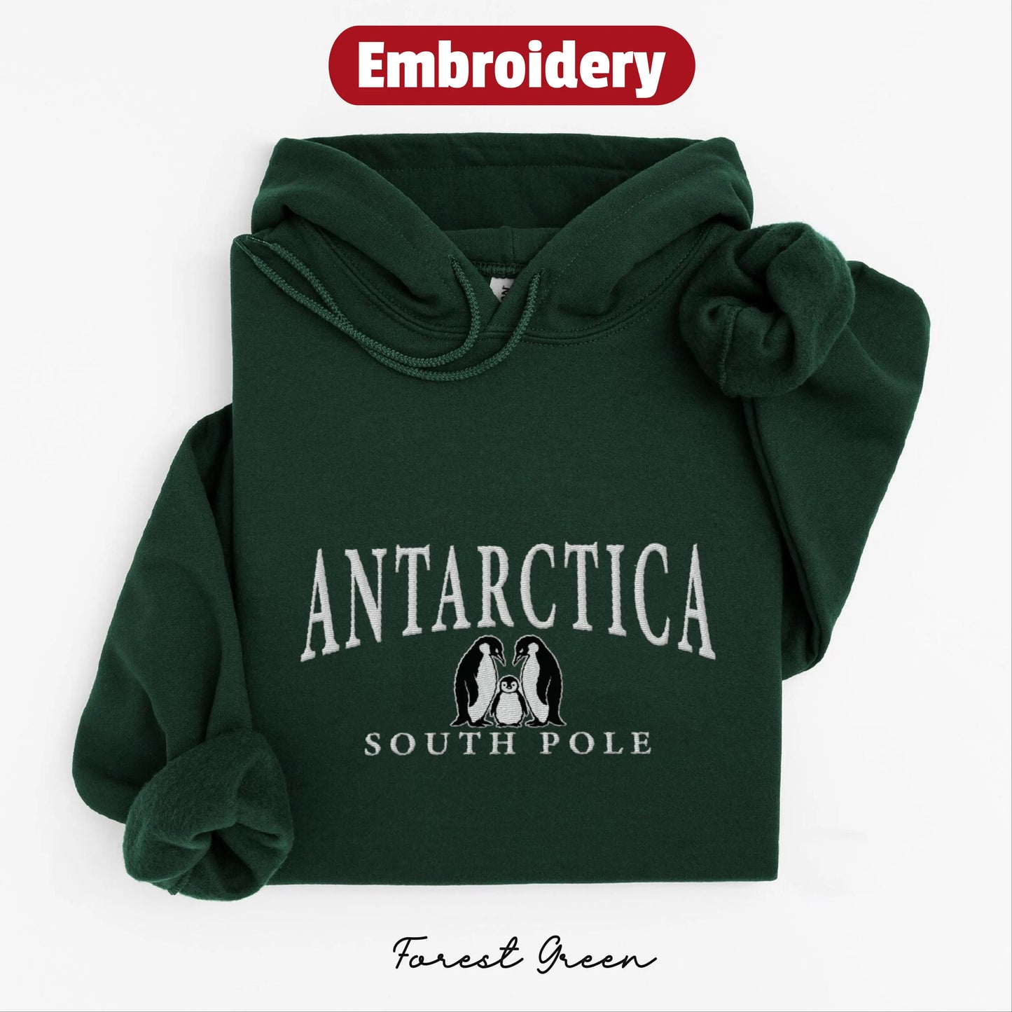 Antarctica embroidered hoodie