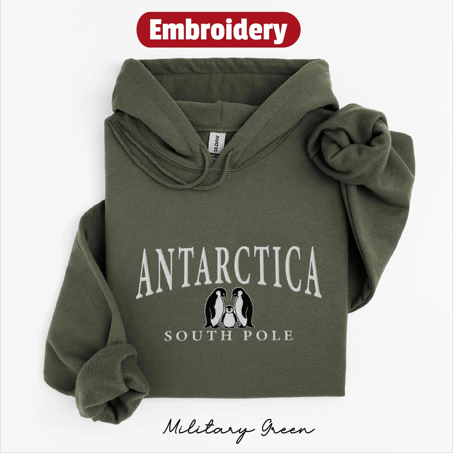 Antarctica embroidered hoodie