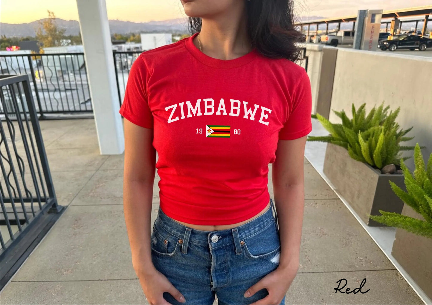 Zimbabwe Y2K Women's Baby Tee