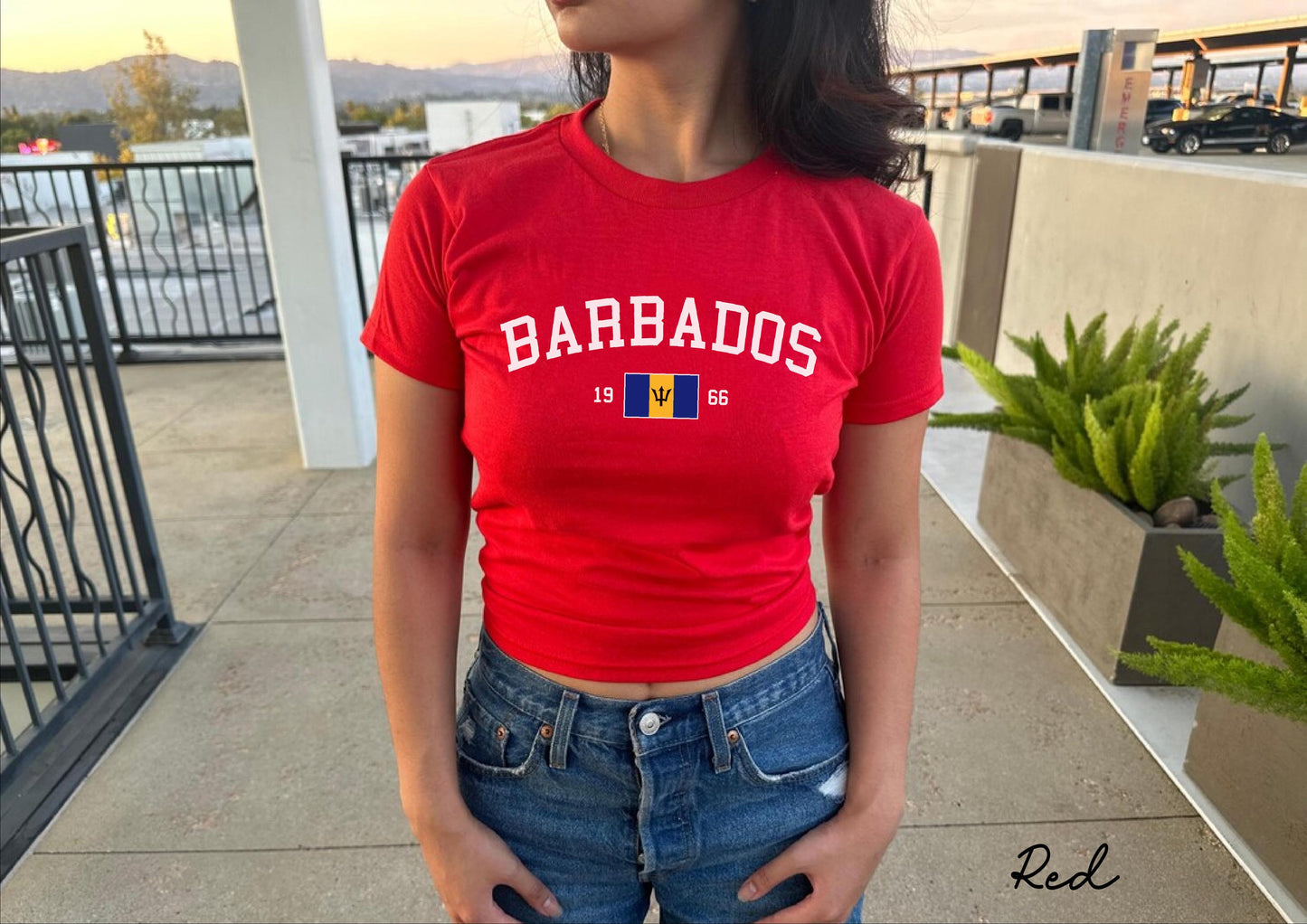 Barbados Y2K Women's Baby Tee